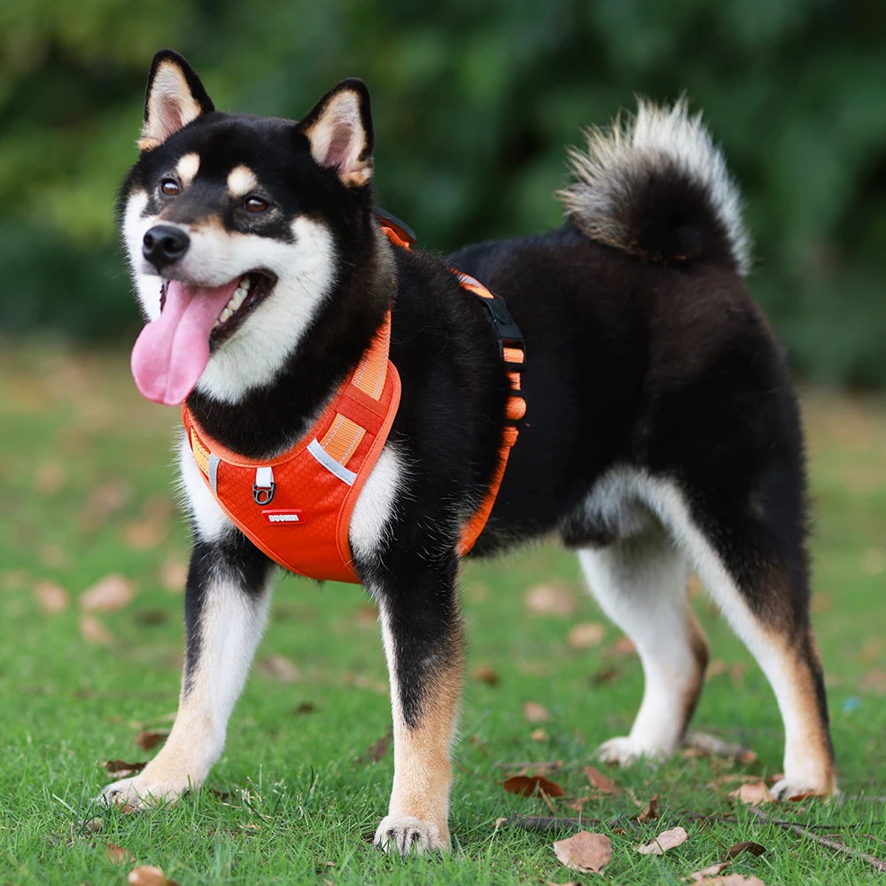 Reflektieren der Hunde brust träger, Blast Punch Weste Welpen Brust träger Traktion, Tier bedarf