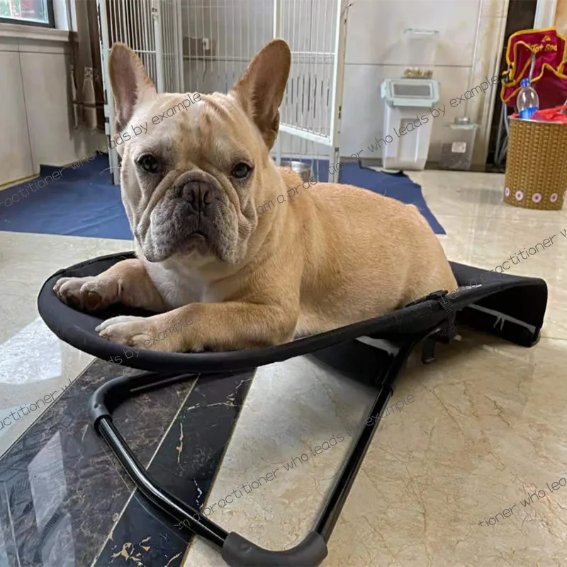 Pet Rocking Chair Pet Dog Cat Rocking Chair  Pet Bed Foldable Adjustable French Dou Teddy