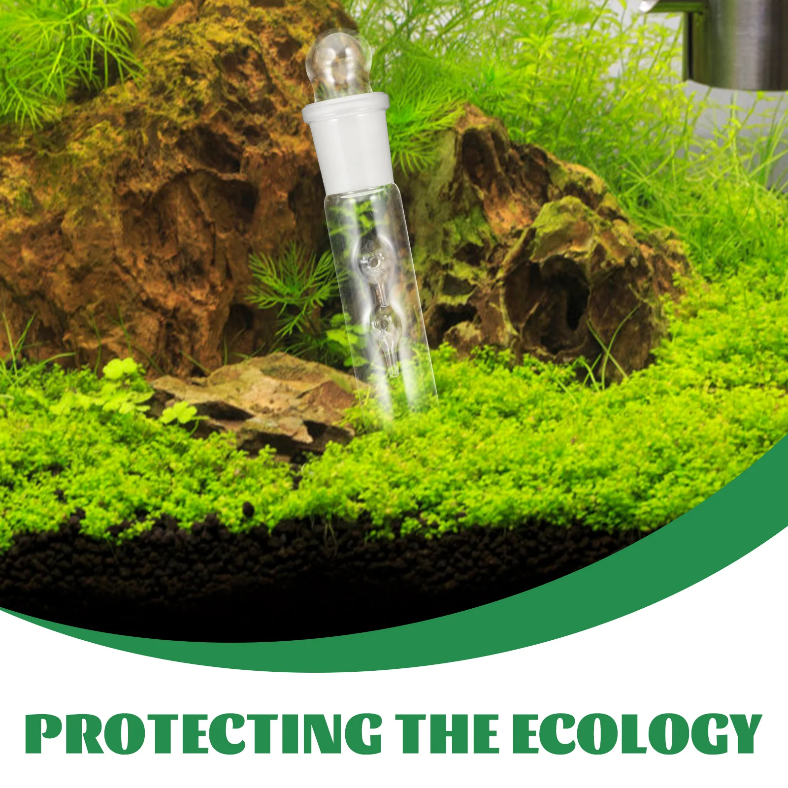 

Glass Flatworm Catcher for Aquarium Planaria Trap Transparent Reusable Fish Tank Worm Catcher Safe Easy Clean Natural Flatworm