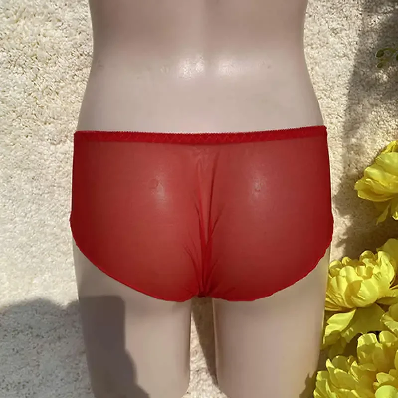 Embroidery Camel Toe Control Panty Lace Tucking Gaff Crossdressing Transgender Sissy Panties LGBT Transparent Briefs