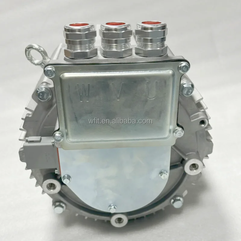 PMSM 정격 20kW, 피크 45kW, 속도 6500 - Ev Electric Motor Conversion Kit Car 리뷰 및 가격