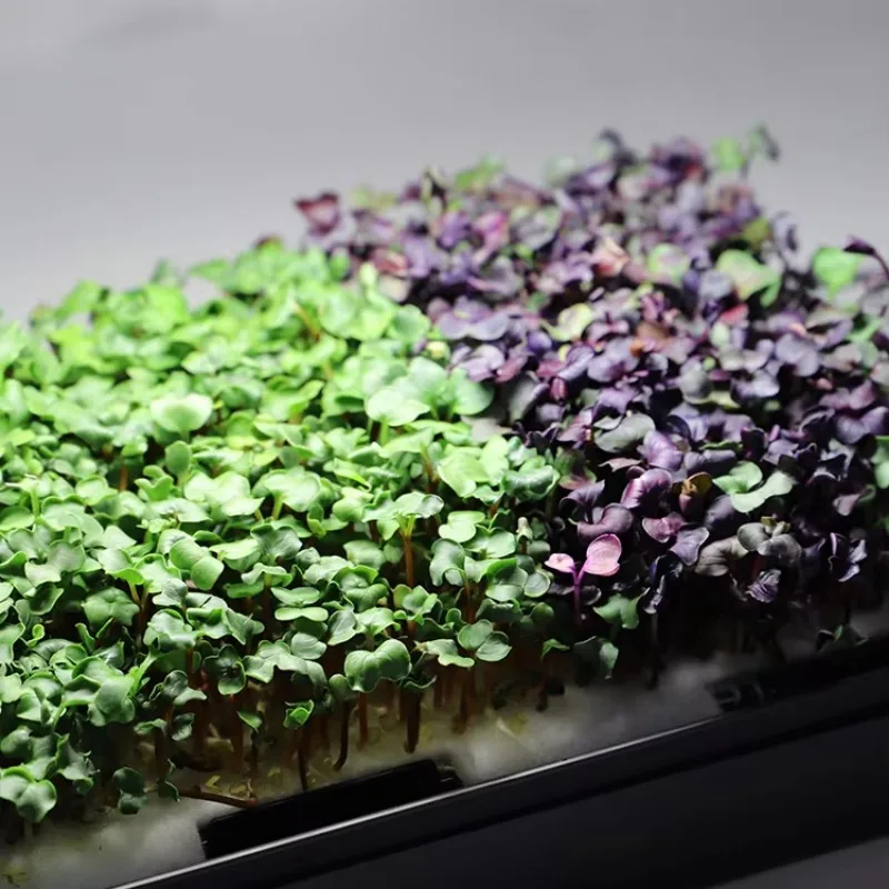 

Indoor Germination Propagation Kit Planter Seed Starting Grow Smart System