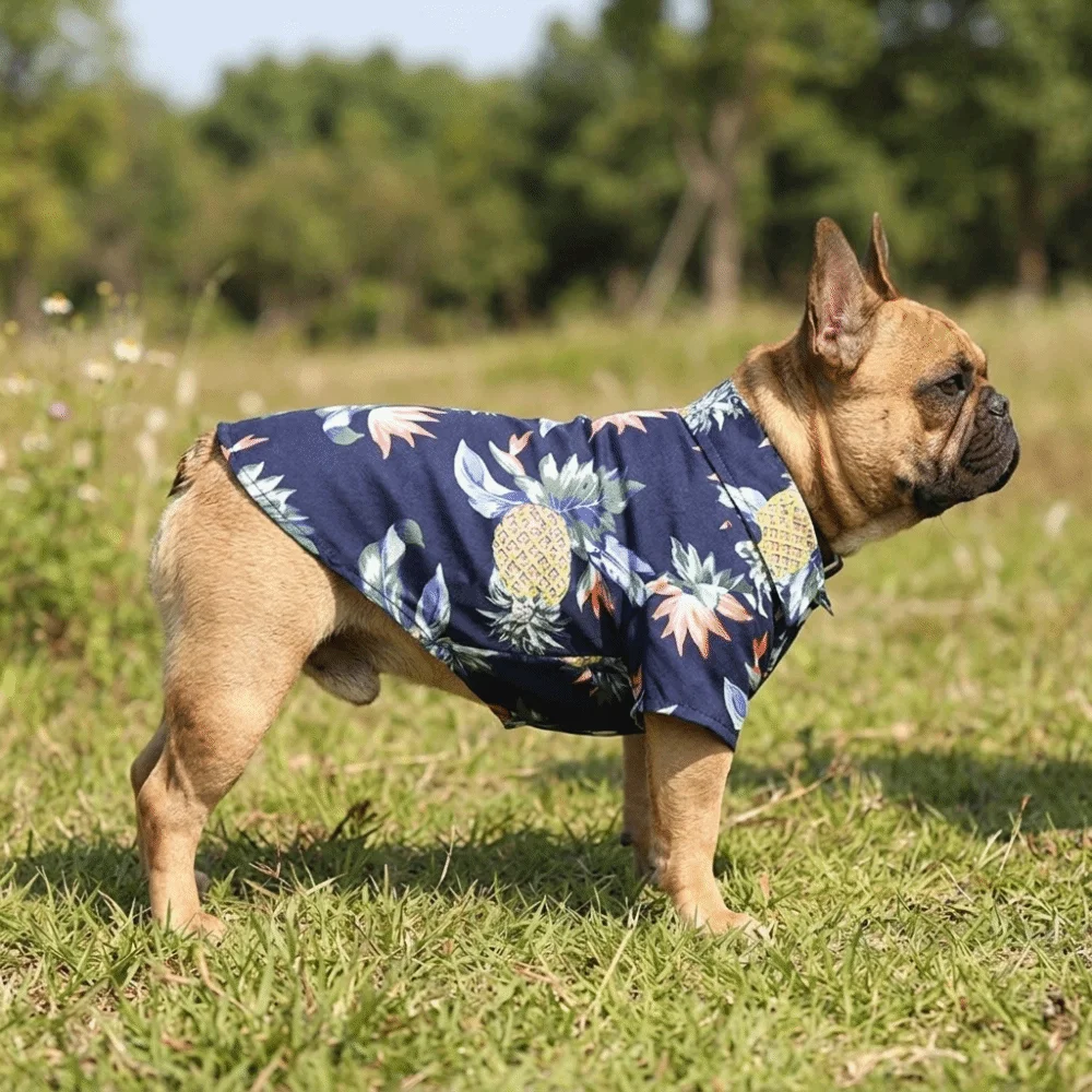 Navy Blue Pet Shirt Multi Sizes Pineapple Pattern Pineapple Print Shirt Lightweight Short Sleeve Dog Hawaiian Shirt Beach Trip