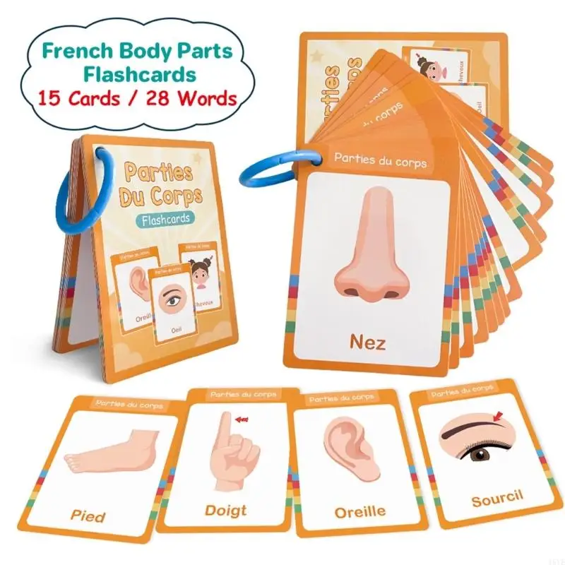 French Picture Word Flash Cards for Beginner Vocabulary Identification