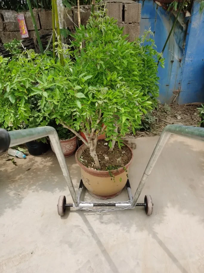 

Pot Handling Artifact Mobile Cart Size Cart Potted Plants Green Plants Gardening Chassis