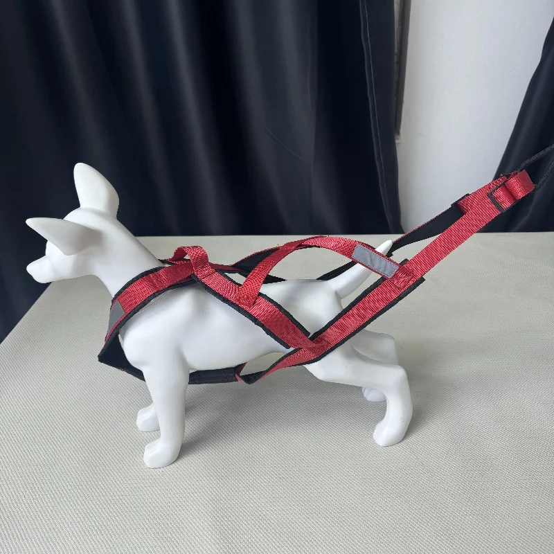 สายจูงสุนัข แบบเสื้อกั๊ก สุนัขตัวเล็ก สุนัขขนาดกลาง สุนัขตัวใหญ่ สายจูงเดินสุนัข อุปกรณ์สัตว์เลี้ยงหิมะฤดูหนาว