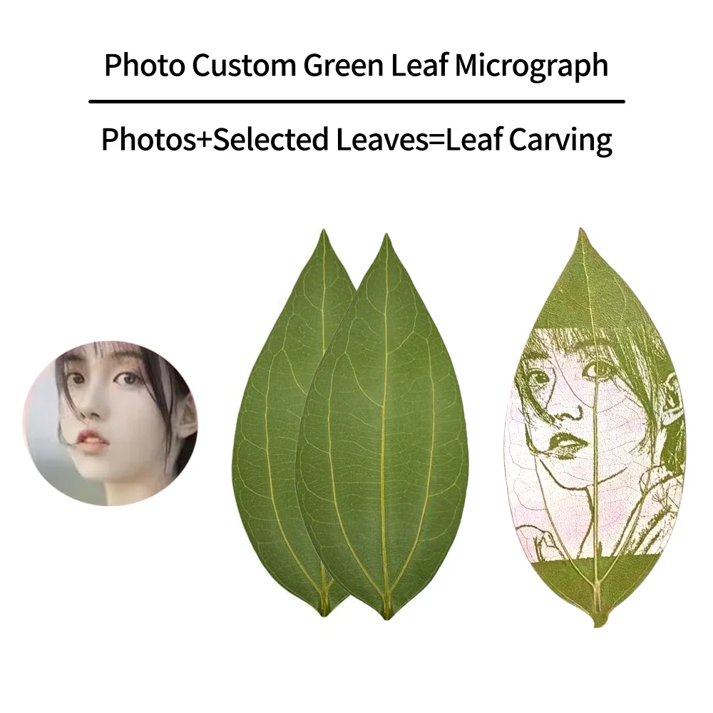 2PCS Pressed Dried Green Leaf Specimen Laser Engraving / Marking materials DIY Mark Portrait Motifs For Laser Engraver Machine