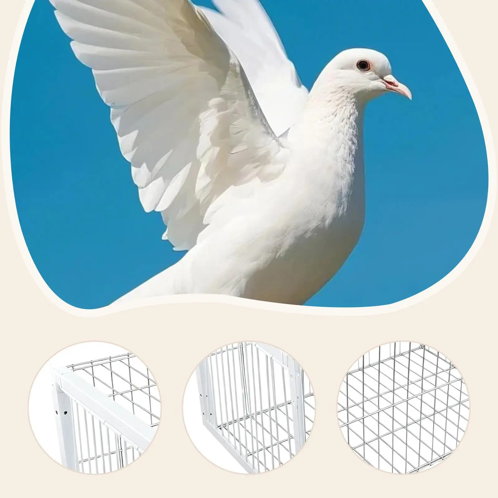 鳩捕獲用トラップケージ-簡単組み立て-一方向入場ドア-自動鳩回収装置-ウズラ、アヒル、インコ、鶏、野良鳥用