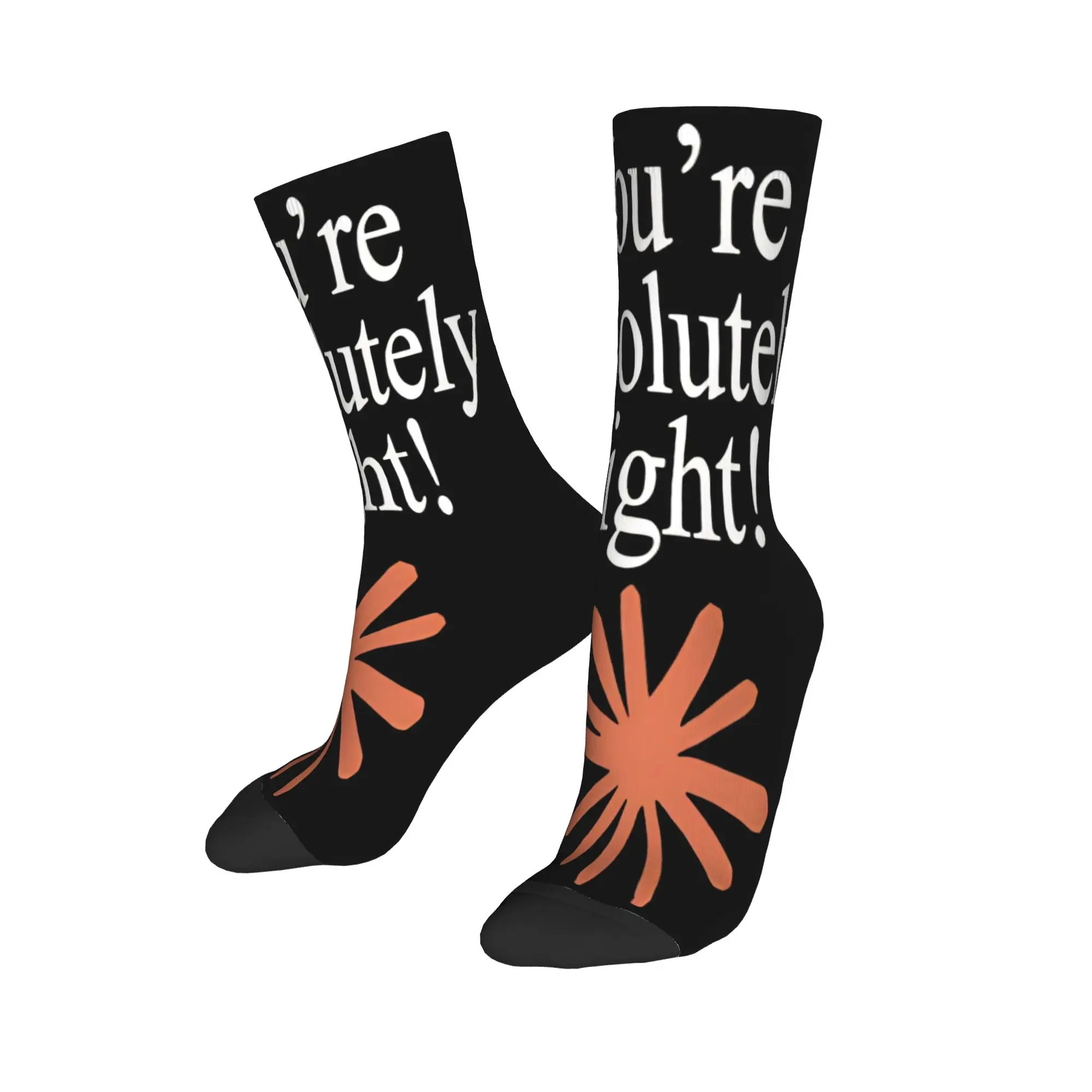 Claude Code You're Absolutely Right  Gift Socks Merch for Women Men Sweat Absorbing Sock