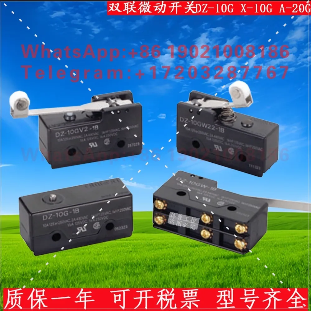 Double micro switch DZ-10G-1B DZ-10GW22-1B A-20G X-10G GQ22 GD