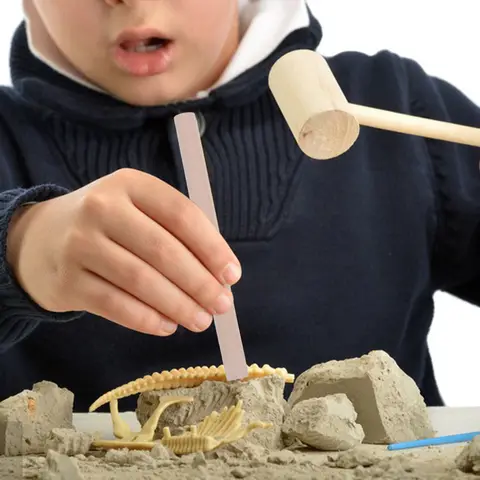 Набор для раскопок iBaseToy из дерева, 10 предметов