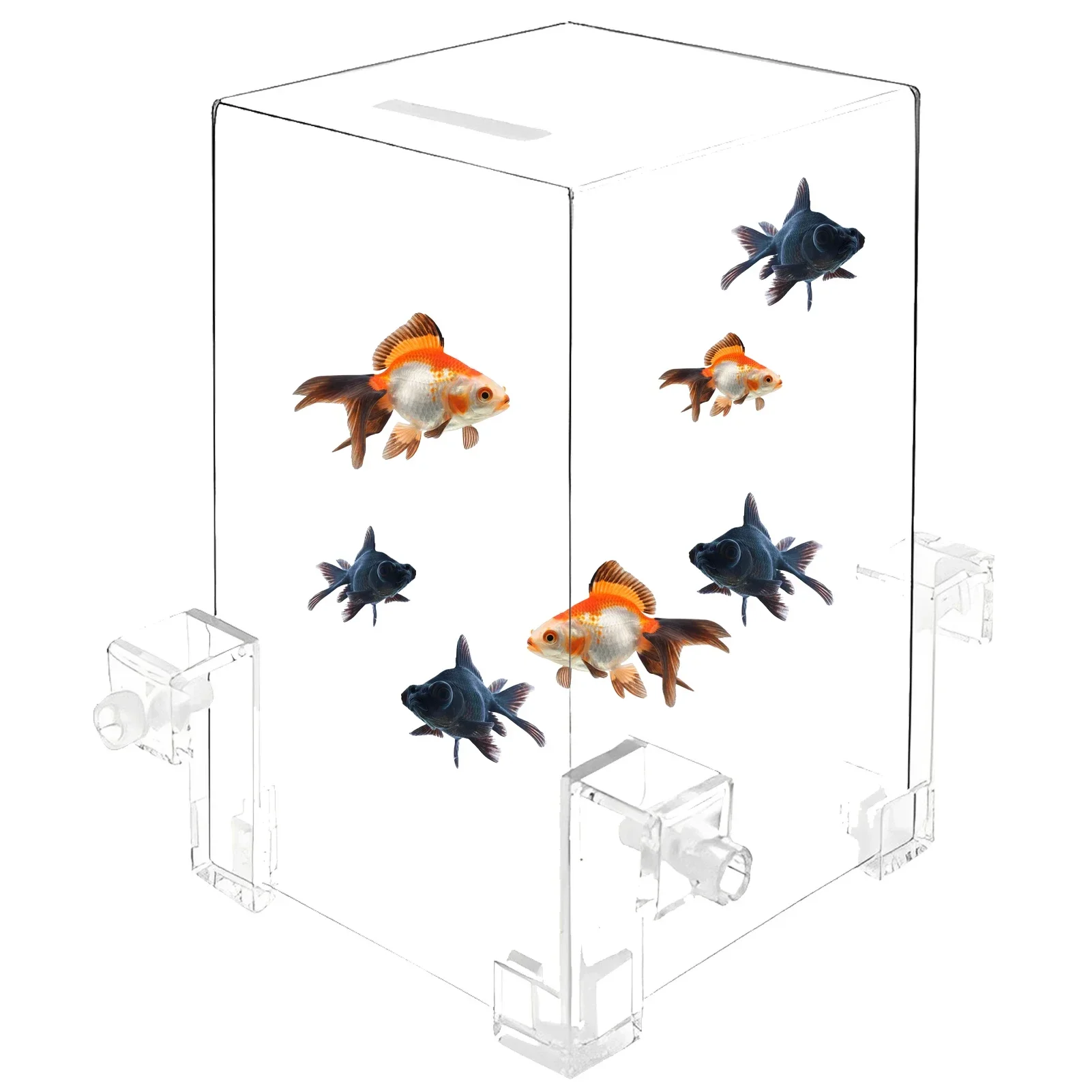 Exclusive Fish Elevator-Negative Pressure Fish Tank for Ultimate Maintenance and Increased Activity Area