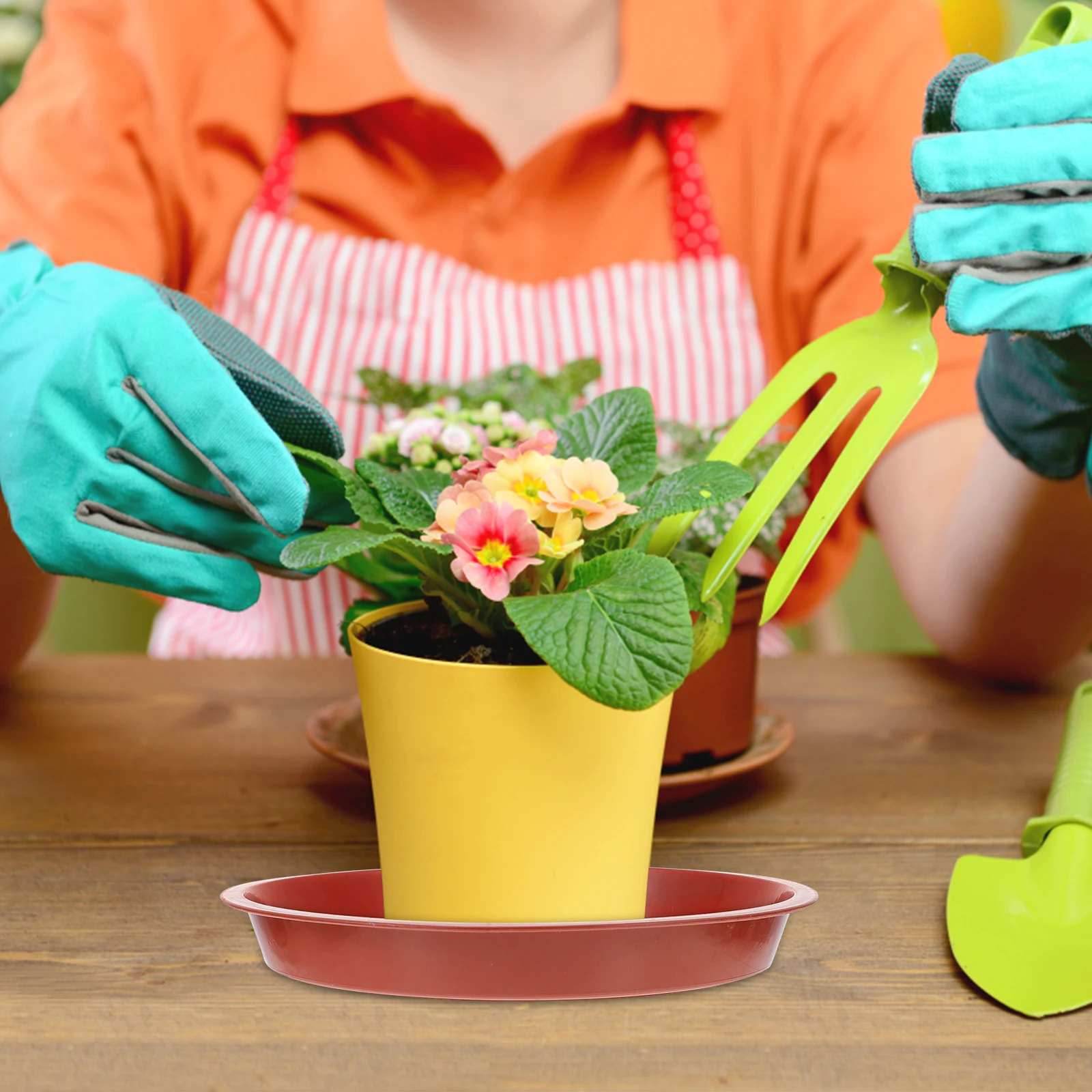 

30 Pcs Water Tray Cushion Succulent Planters Plastic Trays Drip Flowerpot Gardening Raw Material Bottom for Plants Miss Balcony