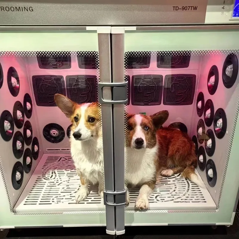 Multi-scenario Animal Hospital /Pet Grooming Salon Drying Chamber Machine Automatic Pet Dryer Box Pet Drying Cabinet