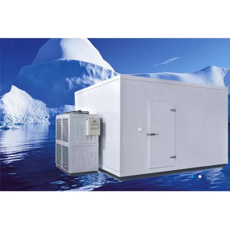 Competitive Price Vegetable Deep Freezer Cold Room Customized Size Storage Cold Room