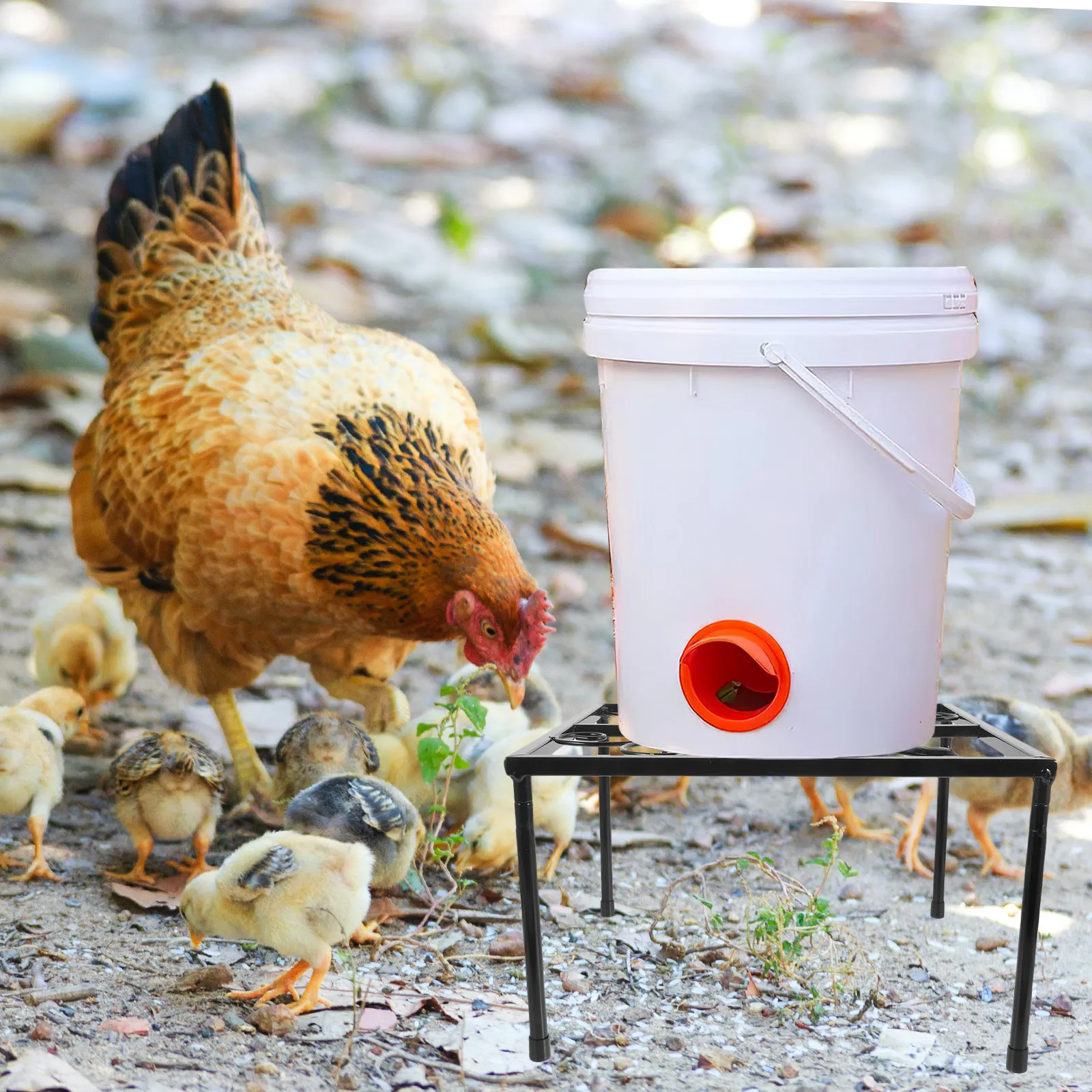 頑丈な鉄製鶏用フィーダースタンドと水飲み場ホルダー、鶏小屋用、多用途の四角いフレーム、複数のバケツサイズに対応、清潔に保ちやすい