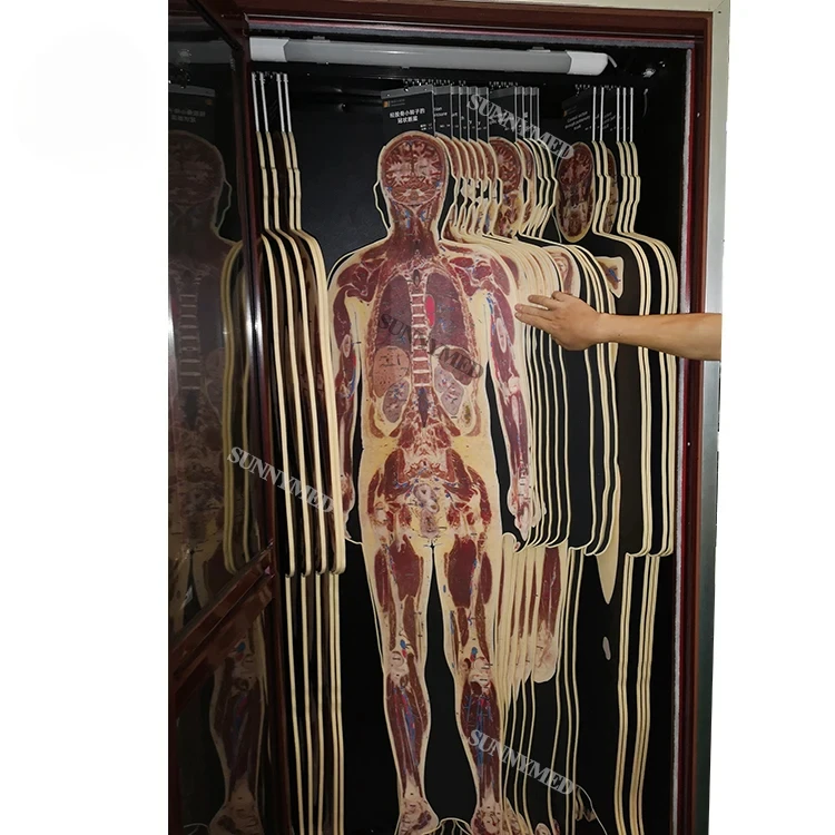 SY-YU03 Digital Human Anatomy System Anatomage 3D body Virtual Autopsy  for School