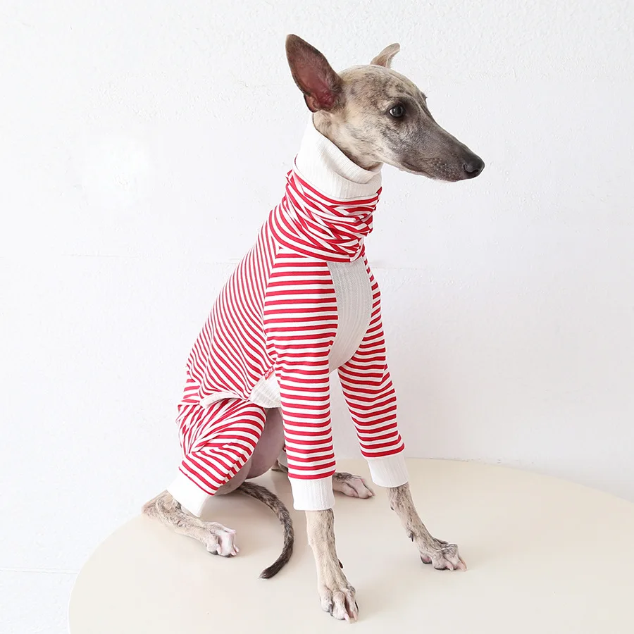 Jersey suave para galgos – Suéter de algodón para perros en invierno - imagen 5