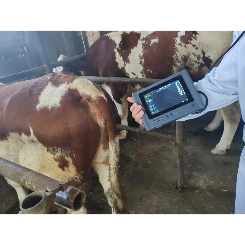 Medical Ultrasound Handheld Full Digital Portable Small Size Veterinary Ultrasound Medical Devices