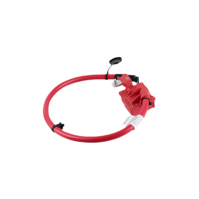 2X Positive Battery Cable 61129225099 For BMW X3 X4 F25 F26 2009-2017 Battery Leads Protection Wire Cable 61129321005