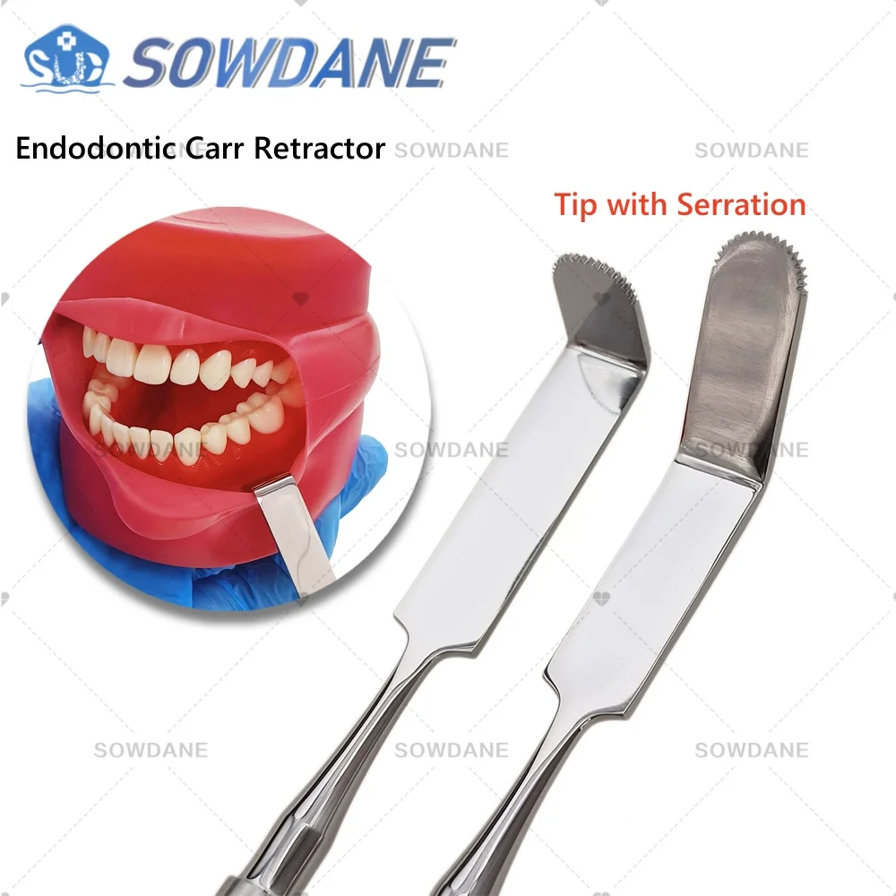 

Dental Endodontic Carr Retractor tip Serrated Angled Tip with Serration Surgical Mouth Opener Retractor Dentist Implant Tool