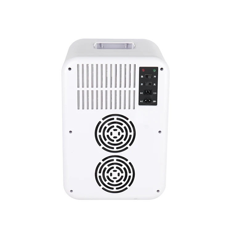 Portable 10L OEM Skin Logo Beauty Skincare Fridge Mini Cosmetic Refrigerator