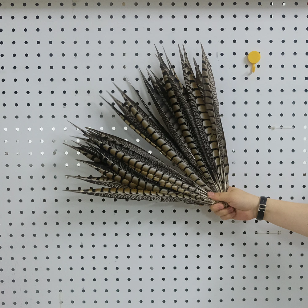 10pcs/lot Natural Pheasant Feathers for Crafts on The Head Extensions 10-60cm Long Feather Tail Carnival Accessories Decoration