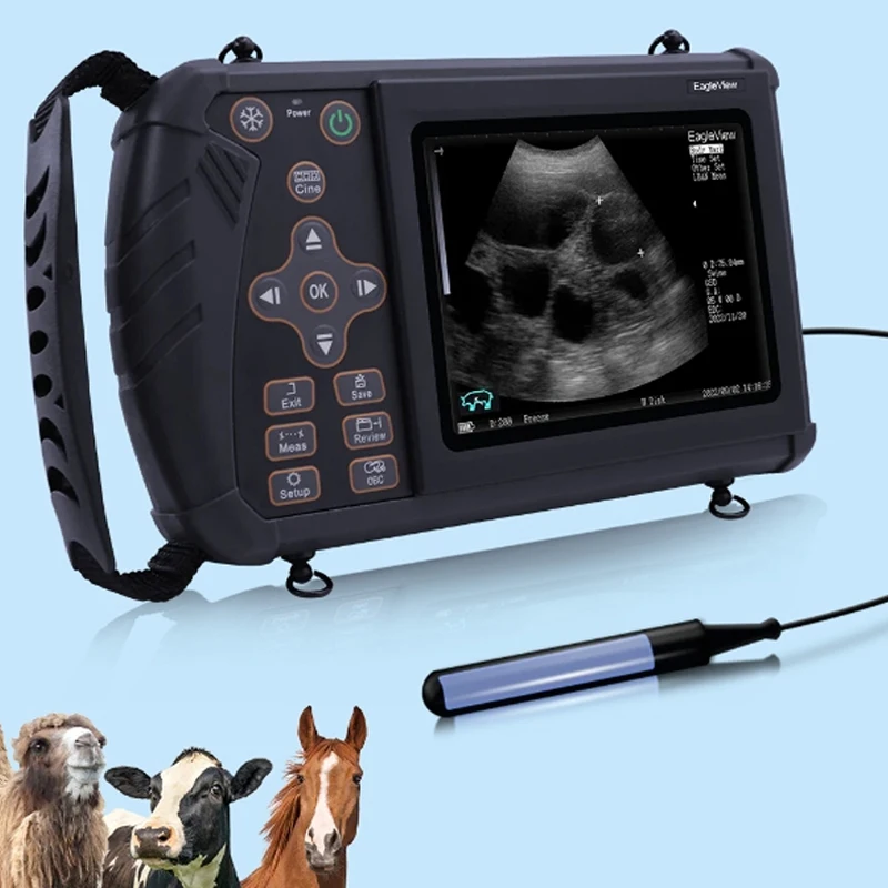 

Veterinary Livestock Ultrasound Machine Vet Scanner Convex Probe for Goat Pig Equine Pregnancy