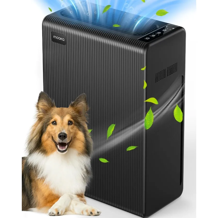 Air Purifiers For H… - image