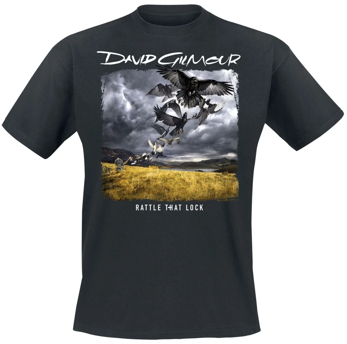 David Gilmour Rattle That Lock Birds Print T-Shirt, 100 % Baumwolle, Unisex, Rock-Streetwear, Fan-Grafik-T-Shirt