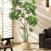 Flower Plant Stem Support Stakes Climbing Houseplant Stand Frame Plastic Garden No Stake Trellis Indoor Plant Holder Rack Hoops 6
