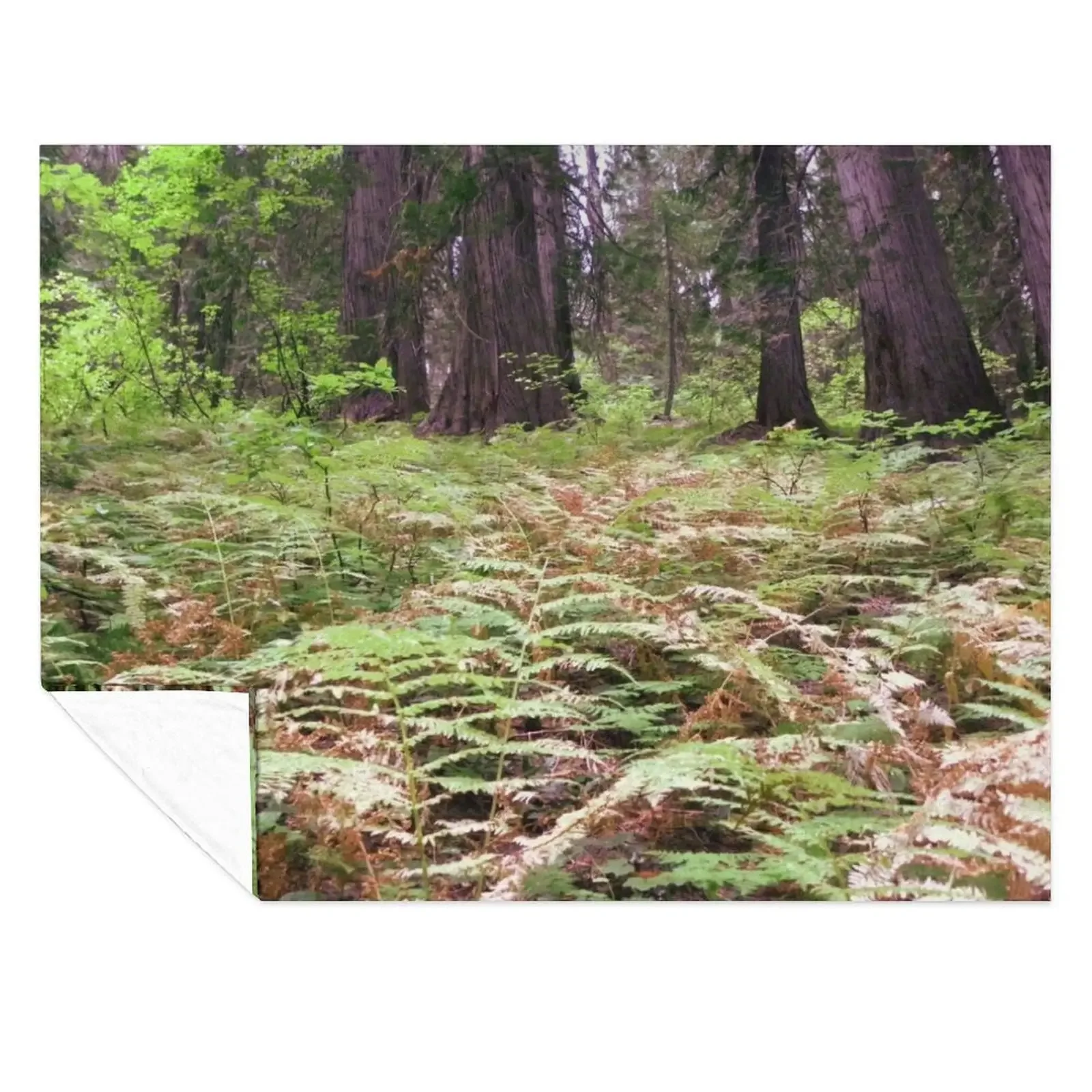 

Northwest forest with trees and ferns Throw Blanket wednesday Large Designers Flannels Blankets