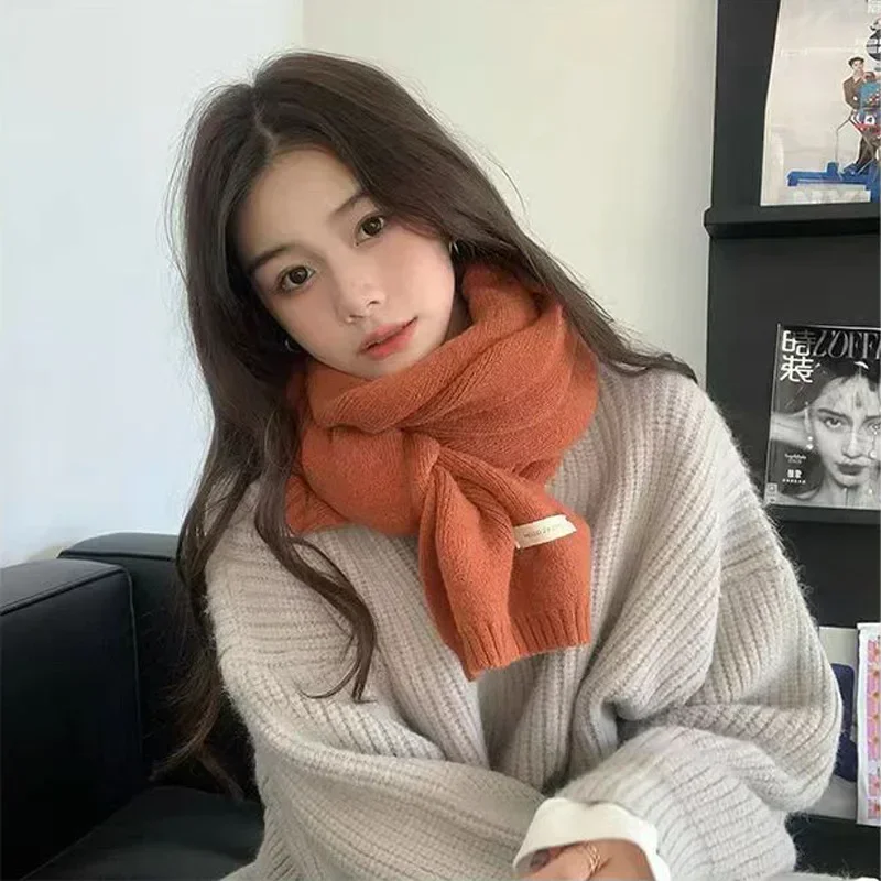 Knitted Thick Warm Scarf For Women Pure Color Ladies Imitation Black Scarf Female Winter Simple Color Ornaments Fashion