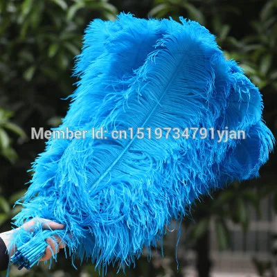 free delivery! 50pcs high quality hard ostrich hair 26-28 inch / 65-70cm feather wedding focus DIY