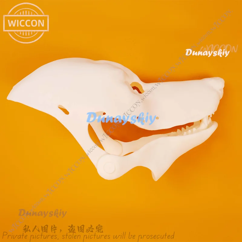 Skull Canidae Skull Open Mouth Furry DIY Realistic Department Cosplay Halloween Costume Skull Prop Halloween Party Woman Man