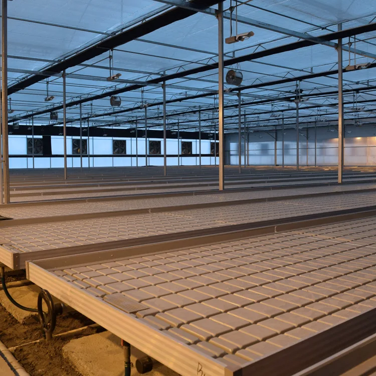 지속 가능한 친환경 수경 재배 묘목 트레이 재배 트레이