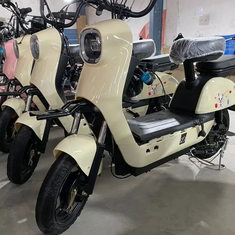 Can Be Licensed Large-scale Transportation Electric Vehicles, Unisex Motorcycles