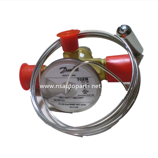 

Original Vehicle Refrigeration Air Conditioning Thermal Expansion Valve R134a