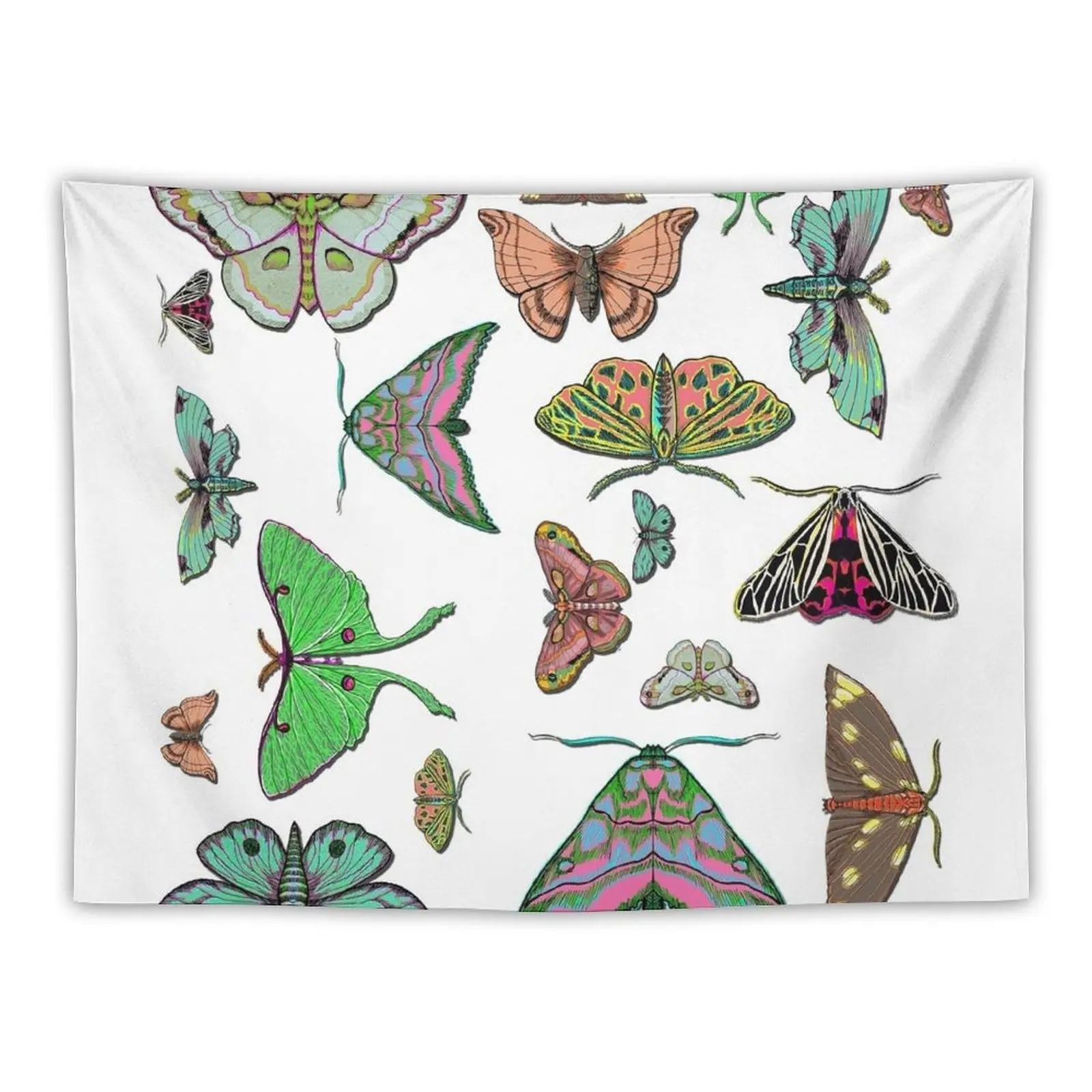 

Colorful Moths by Hollyce Jeffriess Tapestry Wall Hanging Tapestry Wall Tapestries Kawaii Room Decor Room Decorating Aesthetic