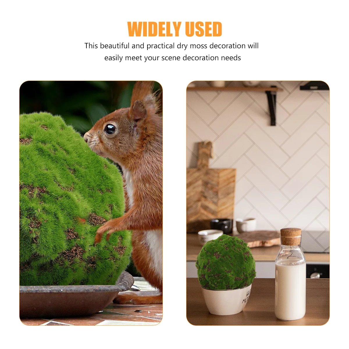 1pc Simulation Decorative Artificial Micro Landscape Preserved For Crafts Decorative Dried Moss Lichen Plants Fairy Garden Decor