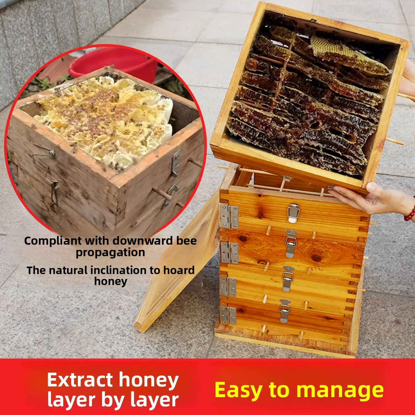 Thickened Detachable Bee Nuc Box Natural Beekeeping Hive Trap Box Full Beekeeping Supplies For Apis Cerana