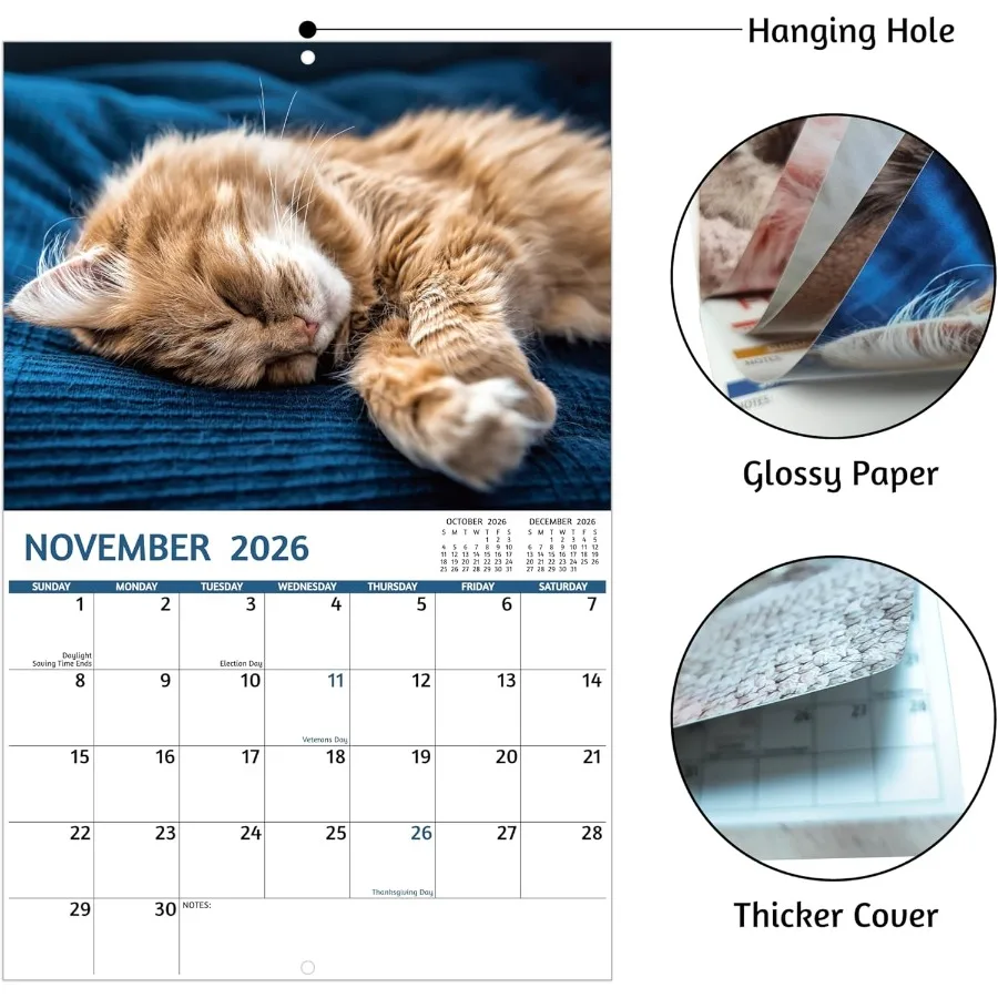 20252026 تقويم Cat ps التقويم 20252026 جدار. يوليو 2025 ديسمبر 2026 11 "× 17" مفتوح 18 شهرًا نائمة القطط تقويم الحائط غير القواعد #5