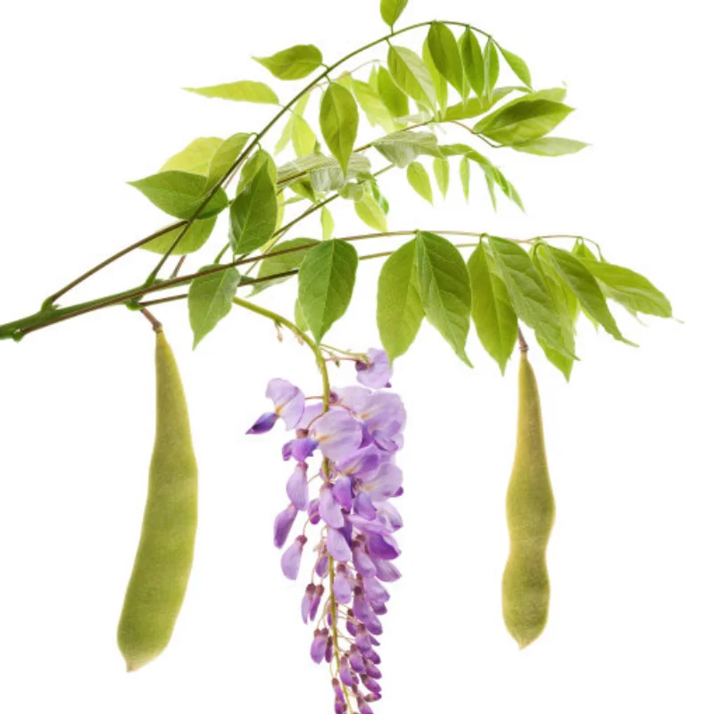 

7075 Gunmetal Rear Shock Tower IF605 for Kyosho MP10 1/8 RC Car Upgrade Parts Spare Accessories