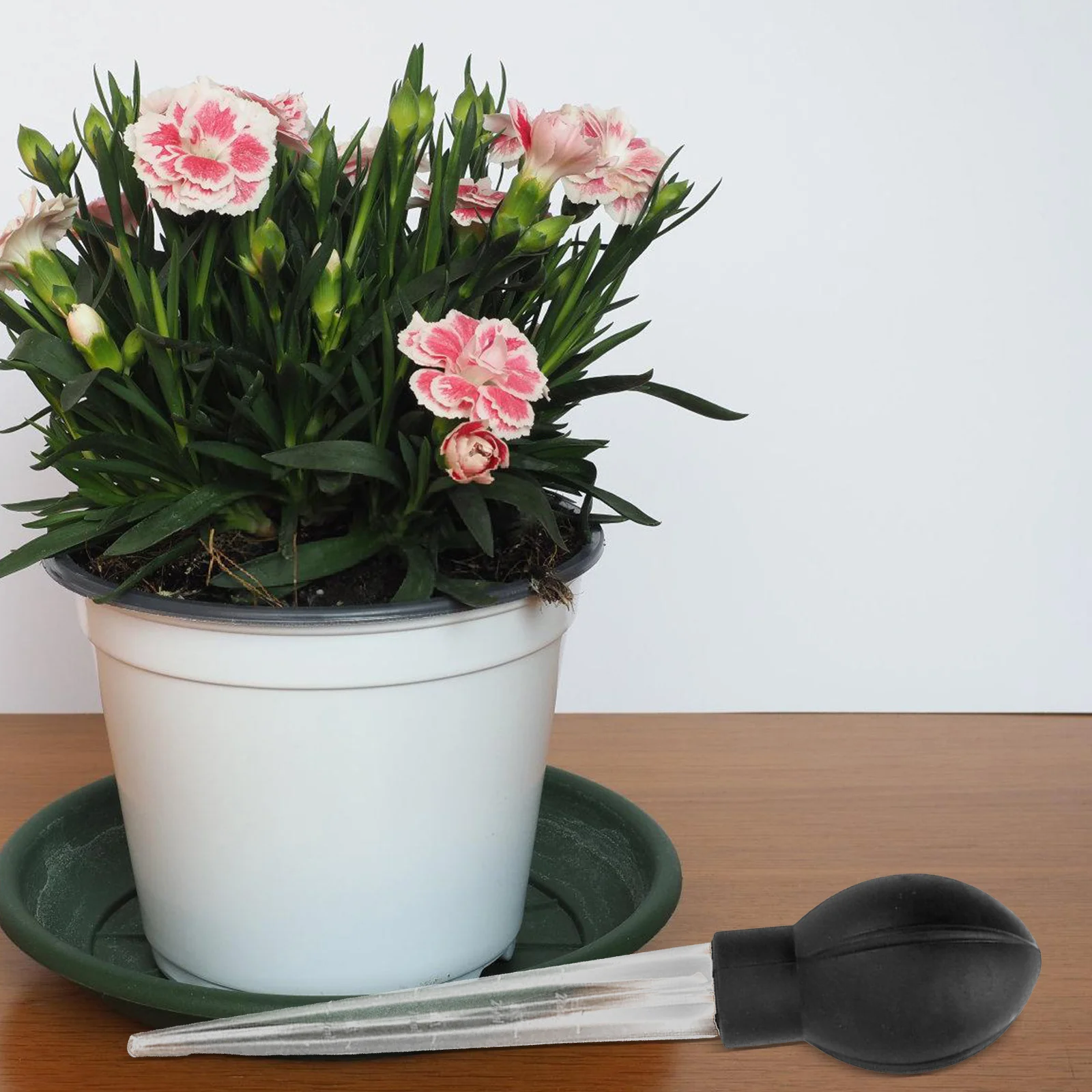 قاعدة امتصاص لأداة إزالة المياه الصحن النباتية ملحقات وعاء الزهور مزيل مياه الحديقة أداة زراعة أنبوب تمتص البلاستيك