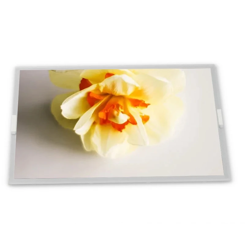 

G190EAN01.0 G190EAN01.2 G190EAN01.3 G190EAN01.5 19inch 1280*1024 LCD Screen Zhiyan supply