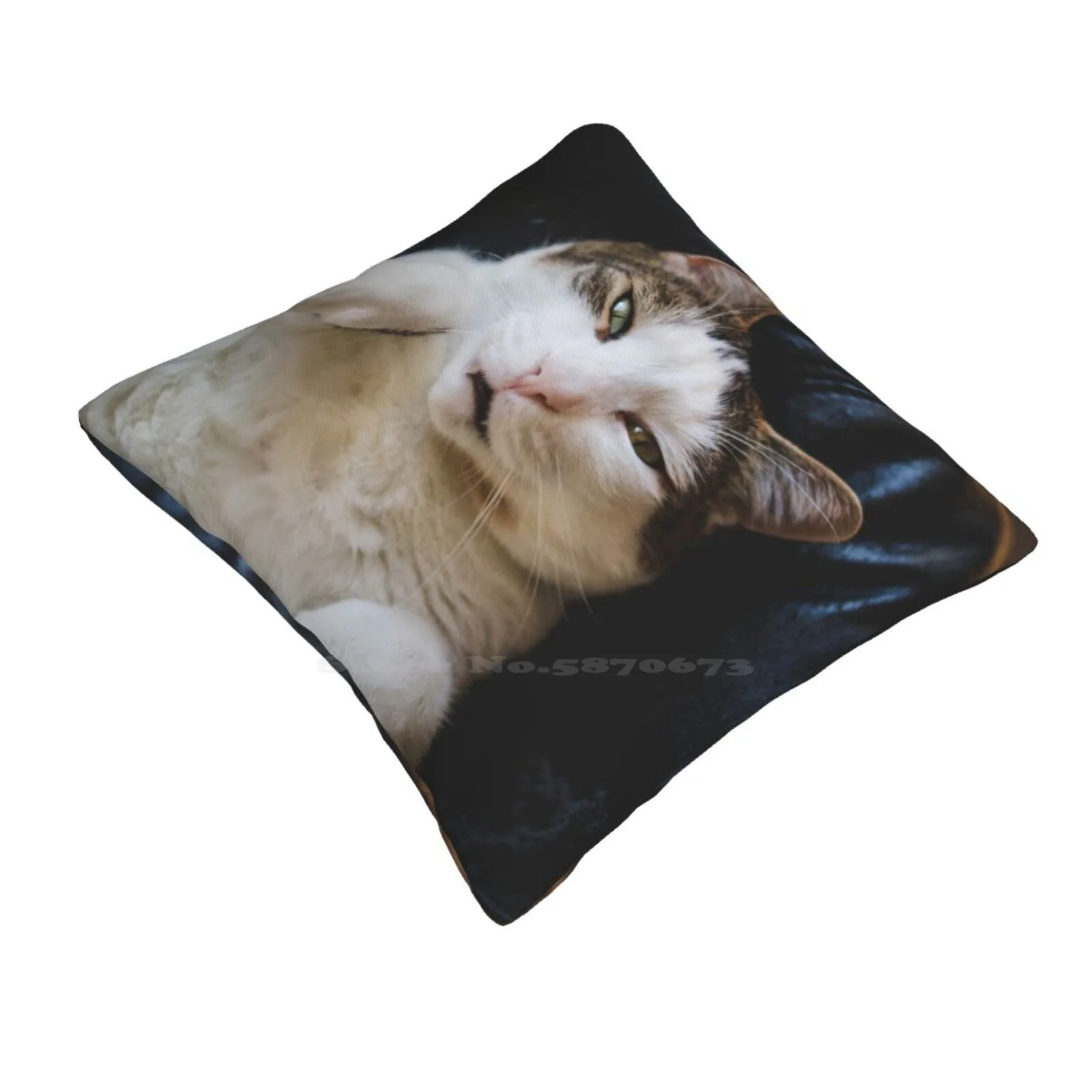 Cat Lying On Back On Leather Couch Cutest Cat Pics Fashion Sofa Throw Pillow Cover Pillowcase Cat Lying On Back On Leather