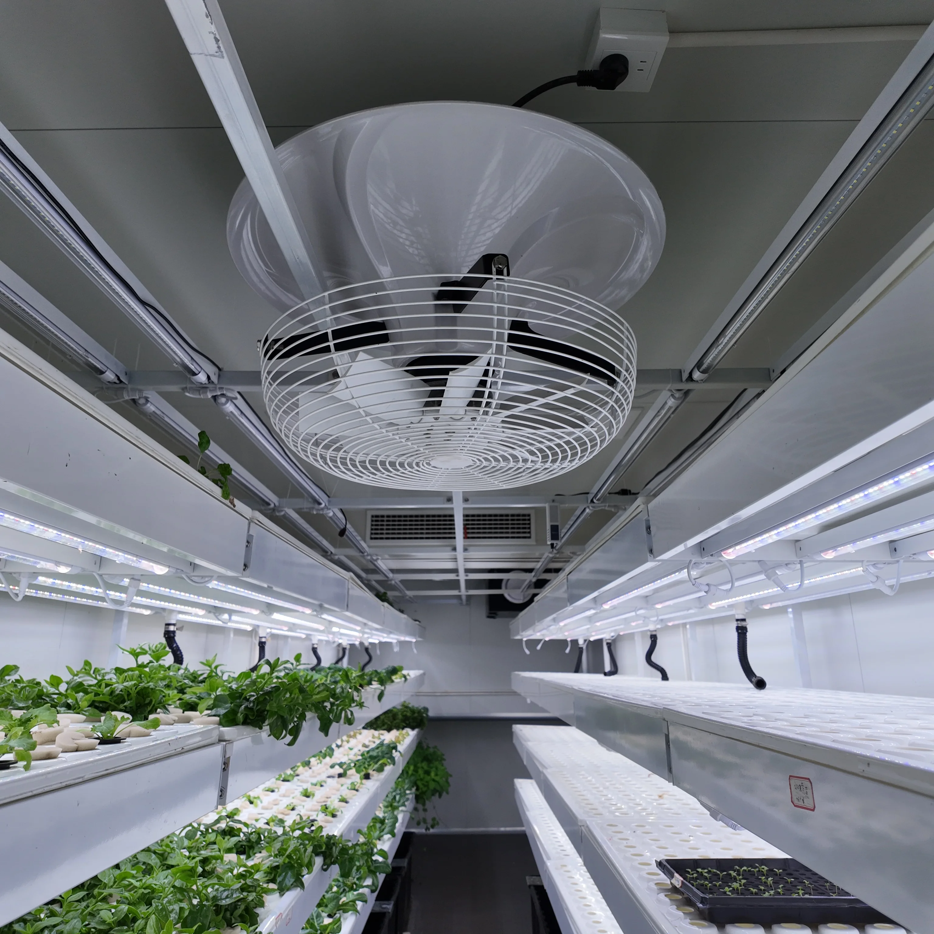Smart Soilless Culture 40FT Shipping Container Farm Automated 3D Shelf Growing Containers Vegetable Hydroponic Cultivation Motor