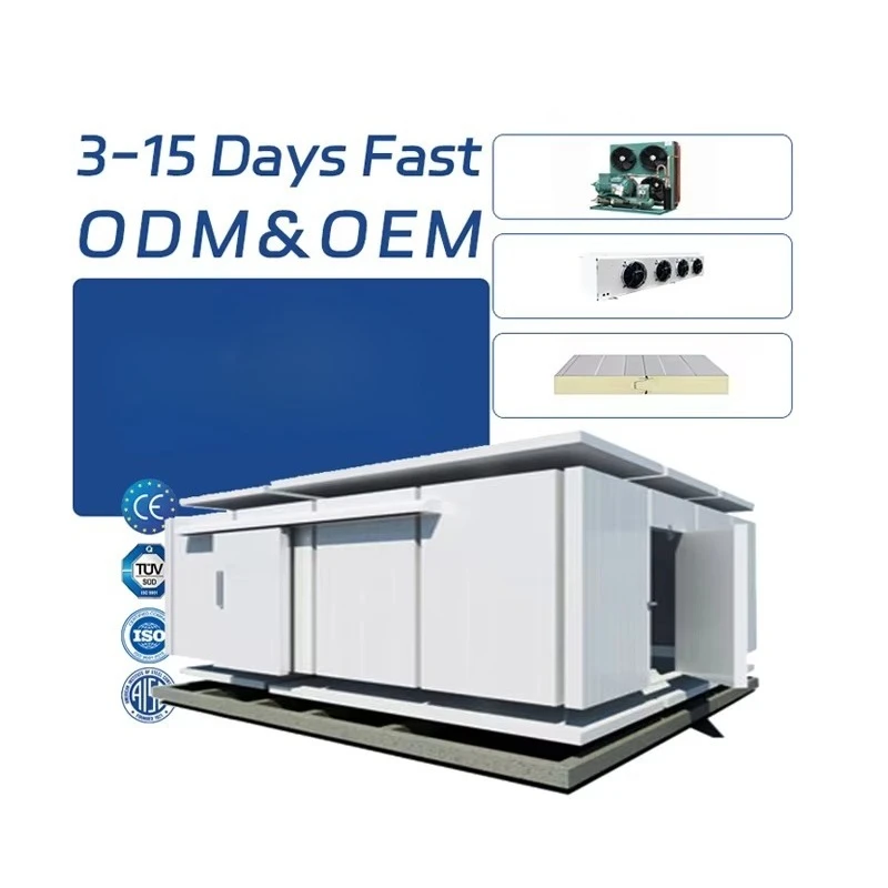 Customized Single Door Prefab Walk In Freezer Room, PU Insulated Commercial Cold Storage for Food Meat Farm Shop