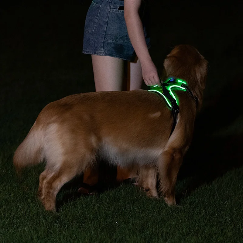 

A33R-светящаяся шлейка для домашних животных, светящаяся шлейка для собак, регулируемый светящийся нагрудный ремень для домашних животных