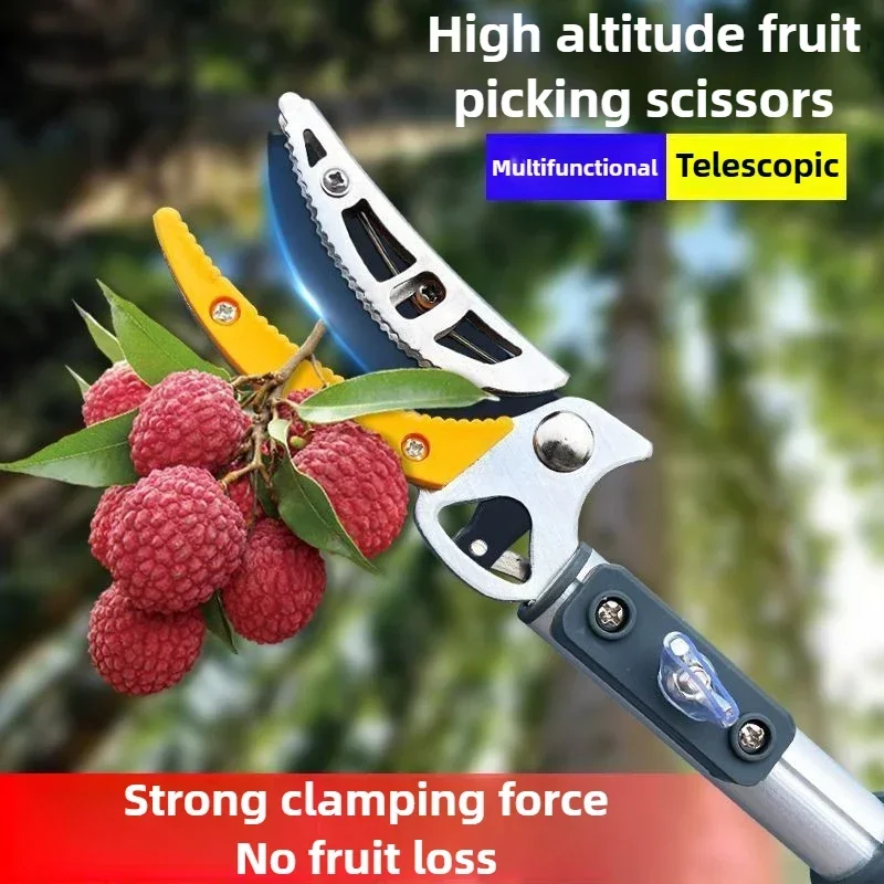 

Height Telescopic Fruit Picker Loquat Berry High Tree Fruit Collector Picking Tool Multifunction Collect Picker Garden Supplies